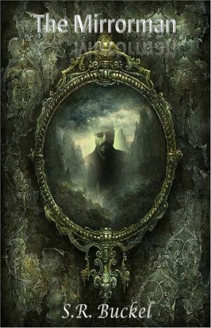Cover of the book The Mirrorman by J. Daniel Sawyer