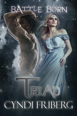 Cover of the book Triad by Cyndi Friberg