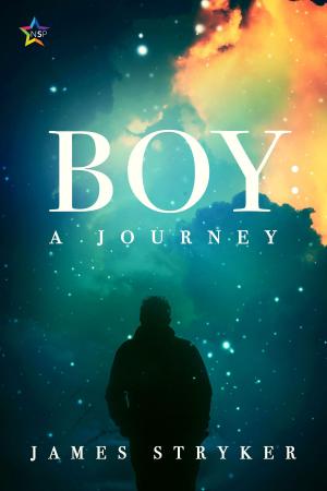 Cover of the book Boy: A Journey by Kevin Klehr