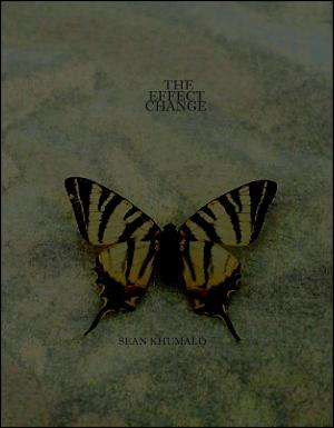 Cover of the book The Change Effect by Steve Duncan