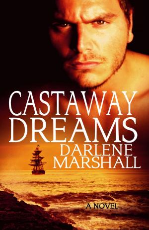 Book cover of Castaway Dreams