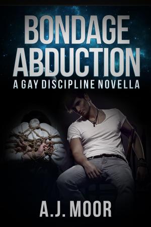 Cover of the book Bondage Abduction by A.J. Moor