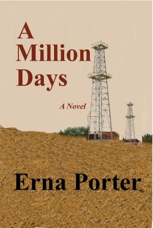 Cover of the book A Million Days by Veronique Bertier