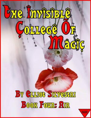 Cover of The Invisible College of Magic: Book Four: Air