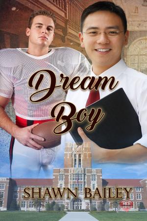 Cover of the book Dream Boy by N.J. Nielsen