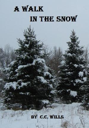 Cover of the book A Walk In The Snow by C.C. Wills