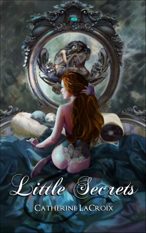 Book cover of Little Secrets (Book 2 of "Little Treasures")