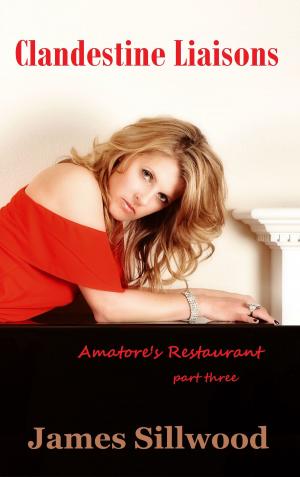 Cover of the book Clandestine Liaisons: Amatore's Restaurant Part Three by Monique Krystal