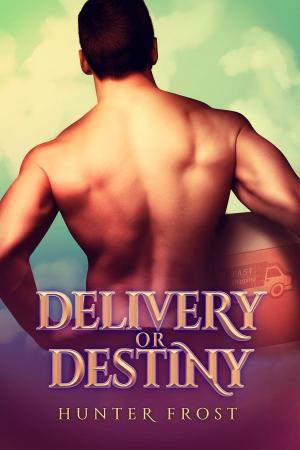 Cover of the book Delivery or Destiny by CJ Lledo
