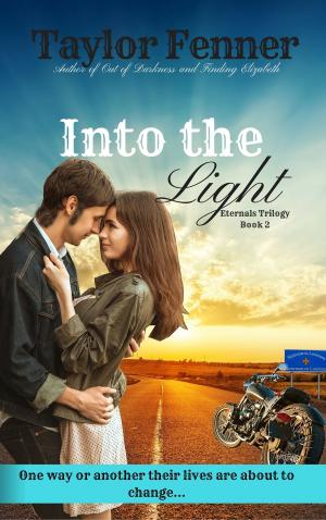 Cover of the book Into the Light by Claire Grimes