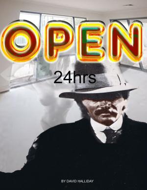Cover of the book OPEN 24hrs by David Halliday