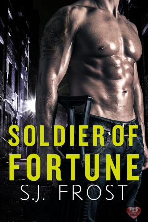 Cover of the book Soldier of Fortune by AKM Miles
