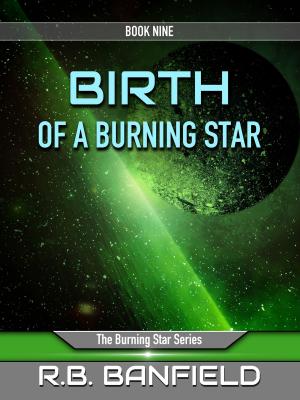 Book cover of Birth of a Burning Star: Book Nine: The Burning Star Series
