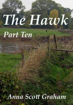 Cover of The Hawk: Part Ten