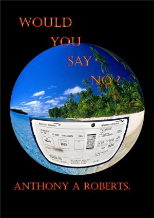 Cover of the book Would You Say No by Alexa Darin
