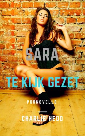 Cover of the book Te Kijk Gezet by The SMUT Project