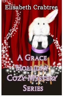 Book cover of A Grace Holliday Cozy Mystery Series