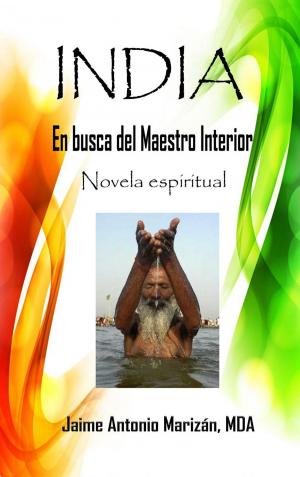 Cover of the book India. En busca del Maestro interior by Jaime Antonio Marizán