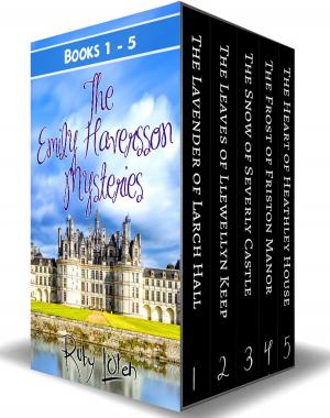 Cover of the book Emily Haversson Cozy Mystery Series by Ruby Loren