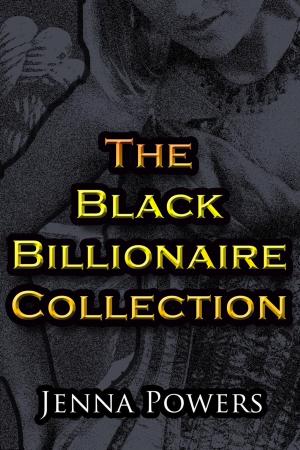 Cover of the book The Black Billionaire Collection by Robyn Maytell