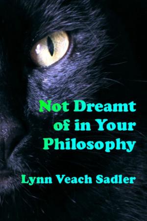 bigCover of the book Not Dreamt of in Your Philosophy by 