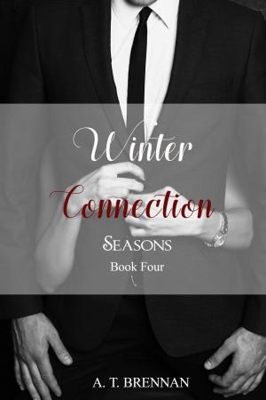 Cover of Winter Connection