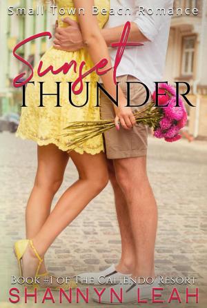 Cover of the book Sunset Thunder by Shannyn Leah