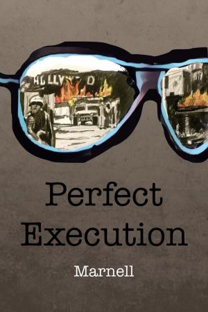 Cover of Perfect Execution