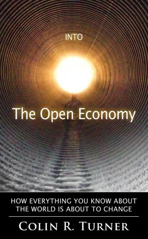 Cover of the book Into the Open Economy by Paolo Barnard