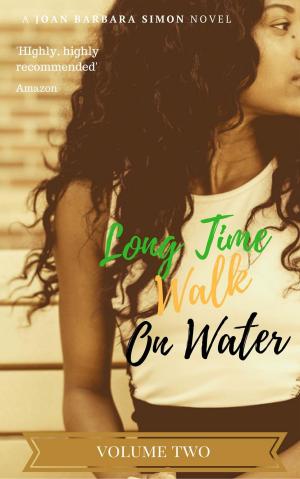 Cover of Long Time Walk on Water