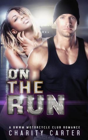 bigCover of the book On The Run by 