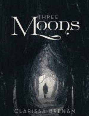 Cover of the book Three Moons by May Freighter