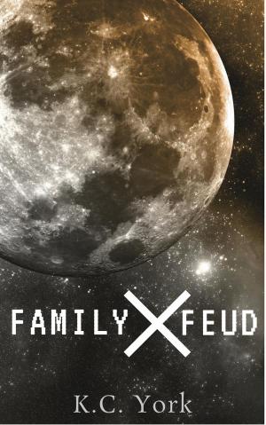 bigCover of the book Family Feud by 
