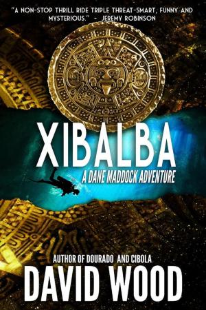 Book cover of Xibalba- A Dane Maddock Adventure