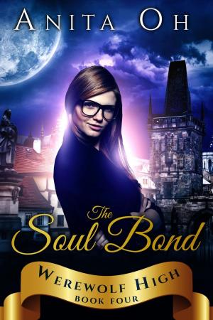 Book cover of The Soul Bond