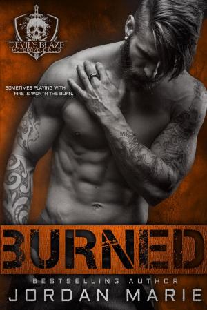 Cover of the book Burned by Cindy Dees