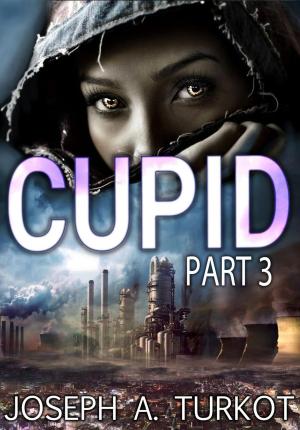 Cover of the book Cupid - Part 3 by James Neal