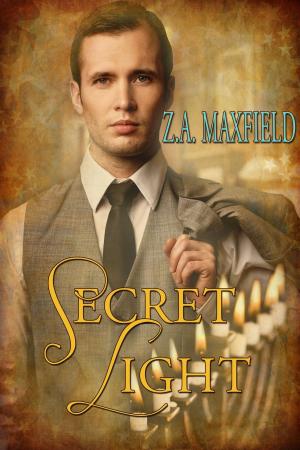 Cover of the book Secret Light by E. Clay