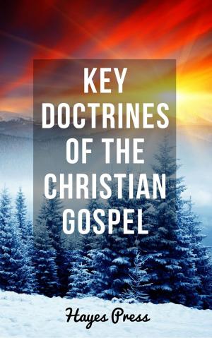 Book cover of Key Doctrines of the Christian Gospel
