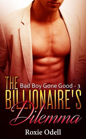 Book cover of Billionaire's Dilemma - Part 3