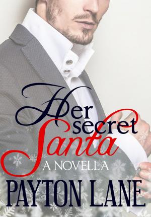 Cover of the book Her Secret Santa by Diana Bocco