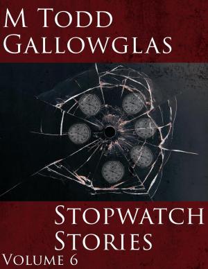 Cover of Stopwatch Stories Vol 6 by M Todd Gallowglas, Bard's Cloak of Tales
