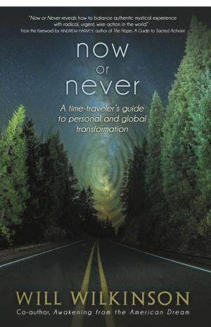 bigCover of the book Now or Never by 