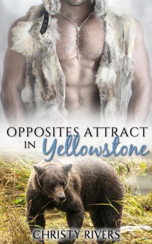 Cover of Opposites Attract in Yellowstone