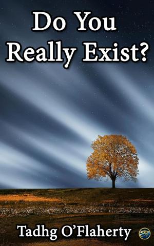 Cover of the book Do You Really Exist? by Robert Schwartz