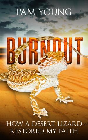 Book cover of Burnout -- How a Desert Lizard Restored My Faith
