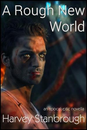 Cover of the book A Rough New World by Harvey Stanbrough