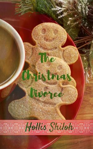 Cover of the book The Christmas Divorce by N.D. Clark