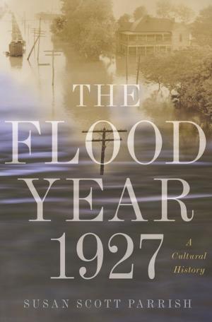 Cover of the book The Flood Year 1927 by Nancy L. Rosenblum
