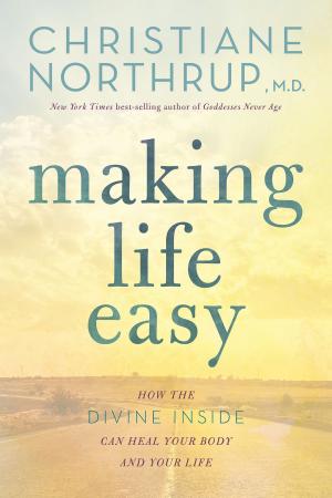 Cover of the book Making Life Easy by Luca Montemagno, Fiorenzo Foglia